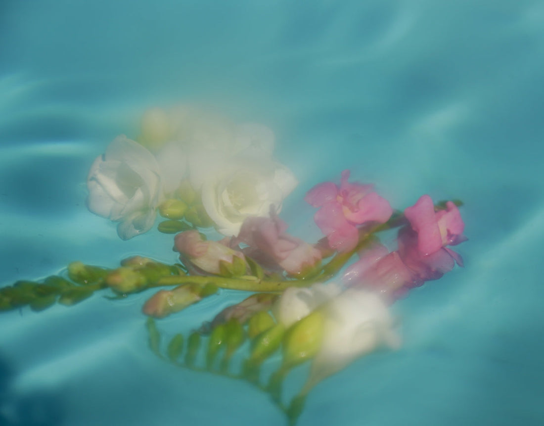 Summer Rituals to Cool, Calm, and Clarify